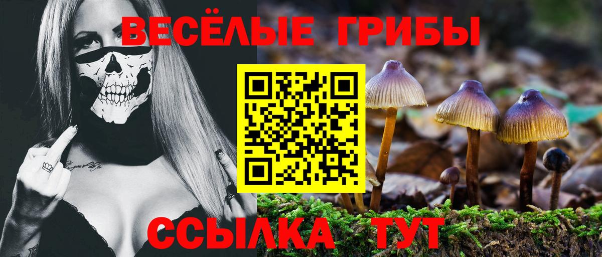 Канаш  Псилоцибиновые грибы прущие грибы  Вход с VPN 